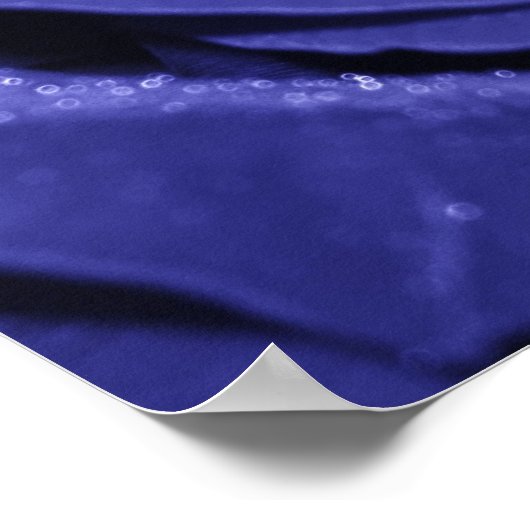 Blauw Roos Poster (Hoek)