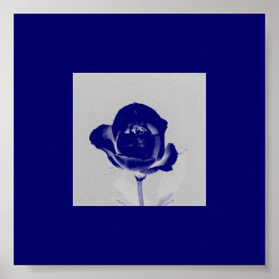 Blauw Roos Poster