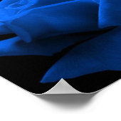 Blauw Roos Poster (Hoek)