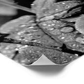 Blauw Roos selectieve kleurenfoto Poster (Hoek)