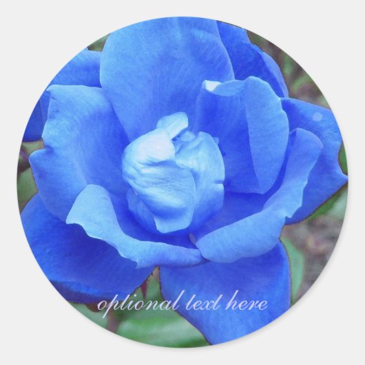 Blauw Roos stickers (Voorkant)