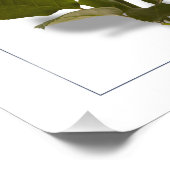 Blauw Roos van betovering Foto Afdruk (Hoek)