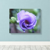 Blauw Roos van Sharon 14 x 11 Canvas afdrukken (Insitu (Houten vloer))