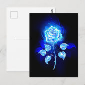 Blauw Roos verbranden Briefkaart (Voorkant / Achterkant)