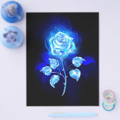 Blauw Roos verbranden Flyer (Enkel)
