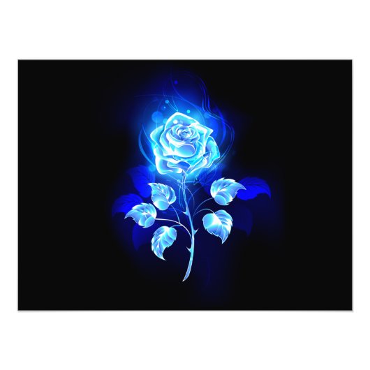 Blauw Roos verbranden Foto Afdruk (Voorkant)