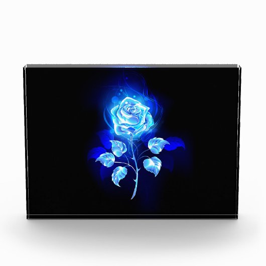 Blauw Roos verbranden Fotoblokken (Voorkant)