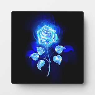 Blauw Roos verbranden Fotoplaat