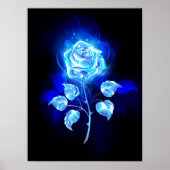 Blauw Roos verbranden Poster (Voorkant)
