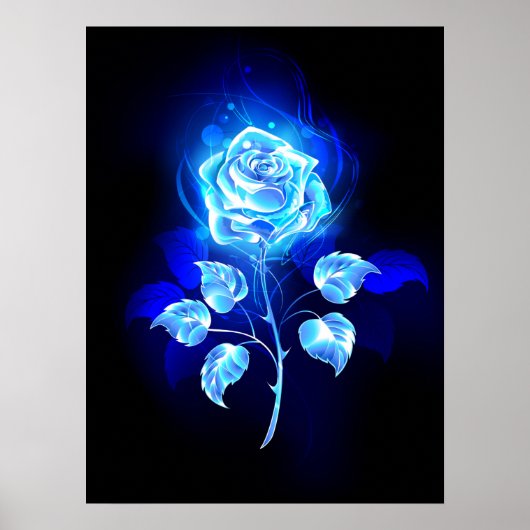 Blauw Roos verbranden Poster (Voorkant)