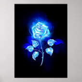Blauw Roos verbranden Poster (Voorkant)