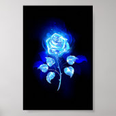 Blauw Roos verbranden Poster (Voorkant)