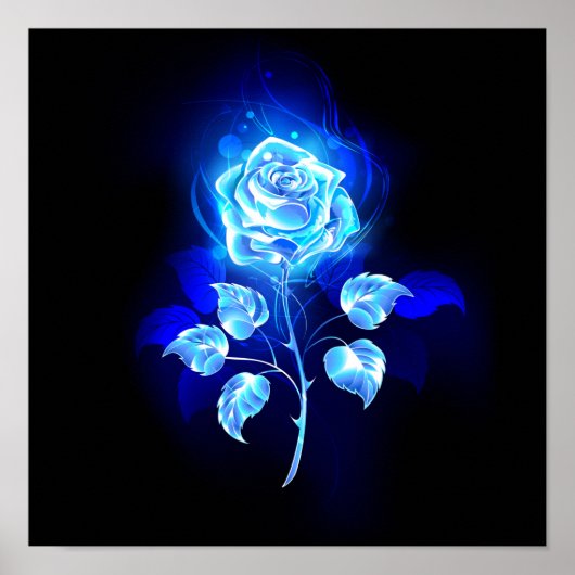 Blauw Roos verbranden Poster (Voorkant)