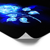 Blauw Roos verbranden Poster (Hoek)