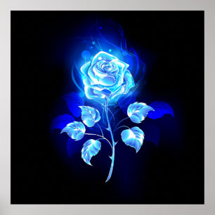 Blauw Roos verbranden Poster