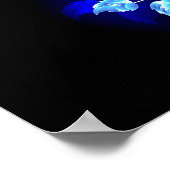 Blauw Roos verbranden Poster (Hoek)