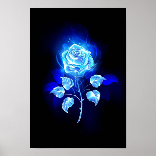 Blauw Roos verbranden Poster (Voorkant)