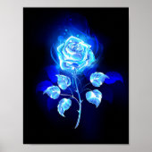 Blauw Roos verbranden Poster (Voorkant)