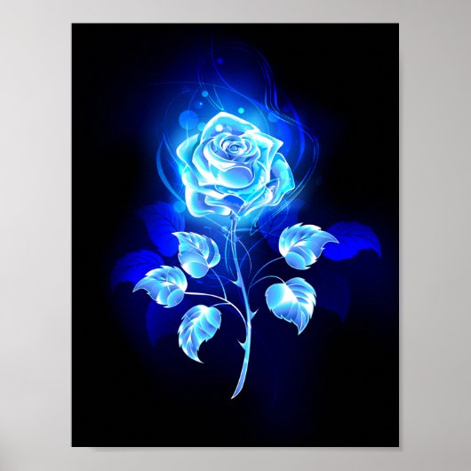 Blauw Roos verbranden Poster (Voorkant)
