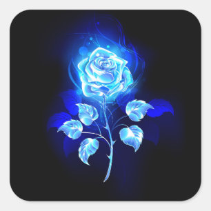 Blauw Roos verbranden Vierkante Sticker