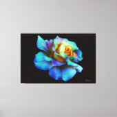 Blauw Roos voor regenboogstraal Verpakt Canvas Gro (Voorkant)