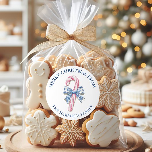 Blauw Roze Chinoiserie Toile Candy Cane Kerstmis Ronde Sticker