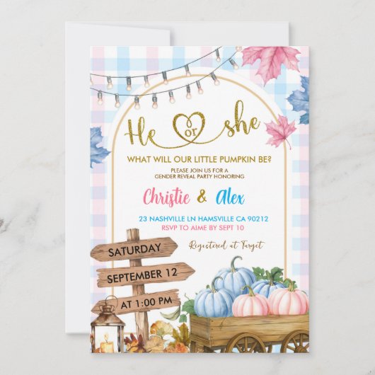 Blauw Roze Plaid pompoen patch Geslacht Reveal Kaart (Voorkant)