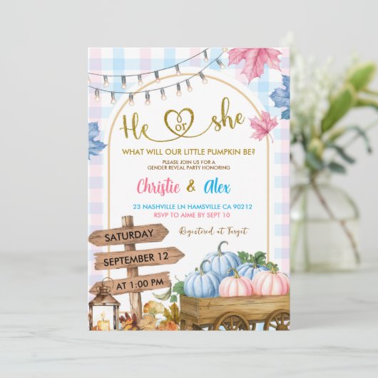 Blauw Roze Plaid pompoen patch Geslacht Reveal Kaart (Staand voorkant)