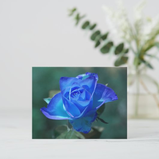 Blauw Rozen Briefkaart (Staand voorkant)
