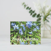  blauw scillefloer Briefkaart van de Foto van Birt (Staand voorkant)