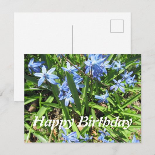  blauw scillefloer Briefkaart van de Foto van Birt (Voorkant / Achterkant)