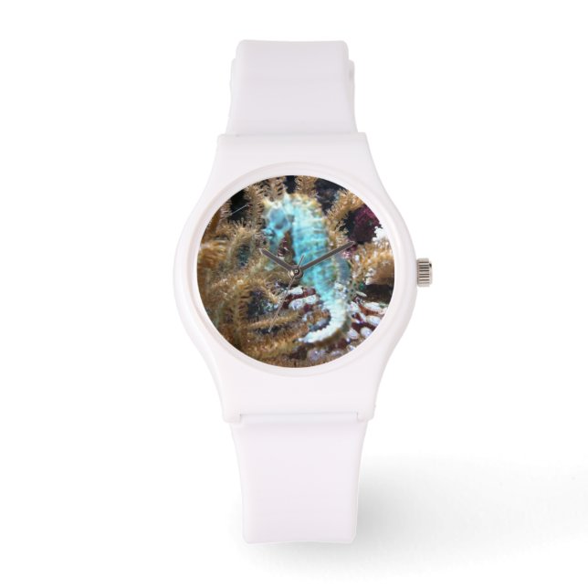 Blauw Seahorse wit siliconen horloge (Voorkant)