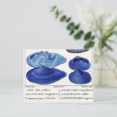 blauw seizoen  botanische zeekaart briefkaart (Staand voorkant)