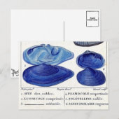 blauw seizoen  botanische zeekaart briefkaart (Voorkant / Achterkant)