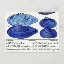 blauw seizoen botanische zeekaart briefkaart