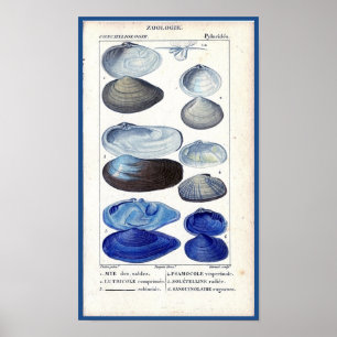 blauw seizoen botanische zeekaart poster