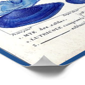 blauw seizoen botanische zeekaart poster (Hoek)