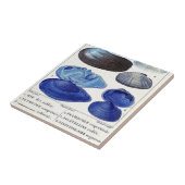 blauw seizoen  botanische zeekaart tegeltje (Zijkant)