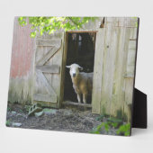 Blauw Sheep Fotoplaat (Zijkant)