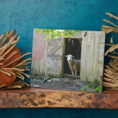 Blauw Sheep Fotoplaat (Zijkant)