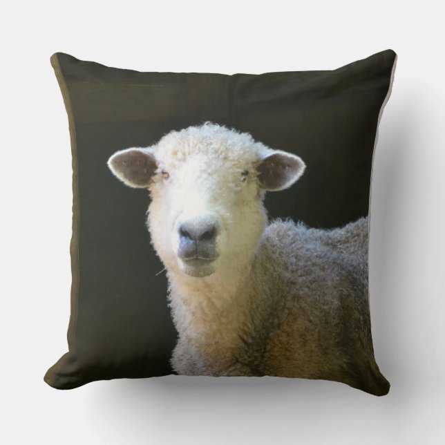 Blauw Sheep Kussen (Voorkant)