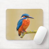 Blauw Sinaasappel Kingfisher Bird Muismat (Met muis)