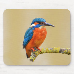 Blauw Sinaasappel Kingfisher Bird Muismat