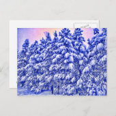Blauw Snowscape, Conifer, CO Briefkaart (Voorkant / Achterkant)