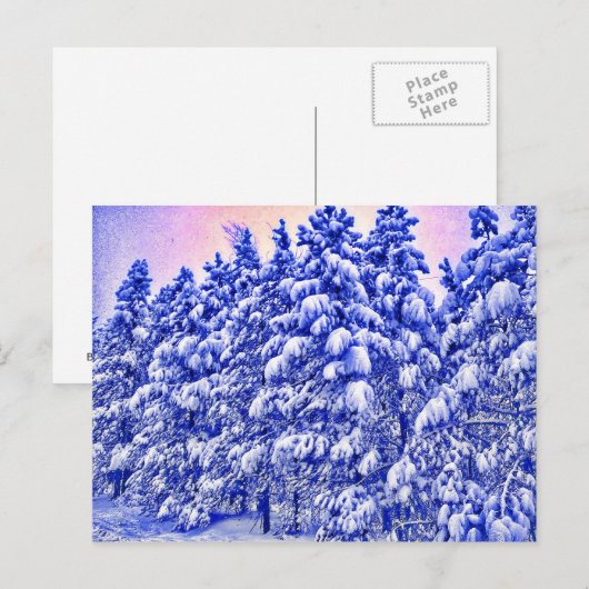 Blauw Snowscape, Conifer, CO Briefkaart (Voorkant / Achterkant)