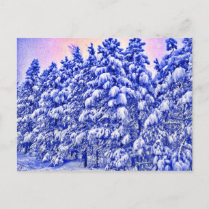 Blauw Snowscape, Conifer, CO Briefkaart