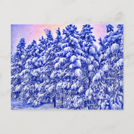 Blauw Snowscape, Conifer, CO Briefkaart (Voorkant)