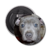 Blauw Staffy Puppy Face, Magnetic Bottle Opener. Button Flesopener (Voorkant)