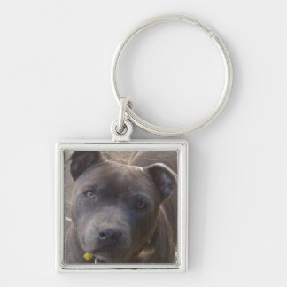 Blauw Staffy Sleutelhanger