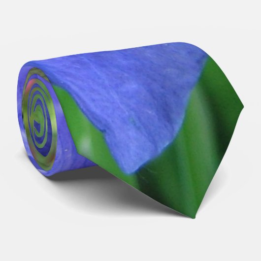 blauw stropdas van irisbloem (Opgerold)